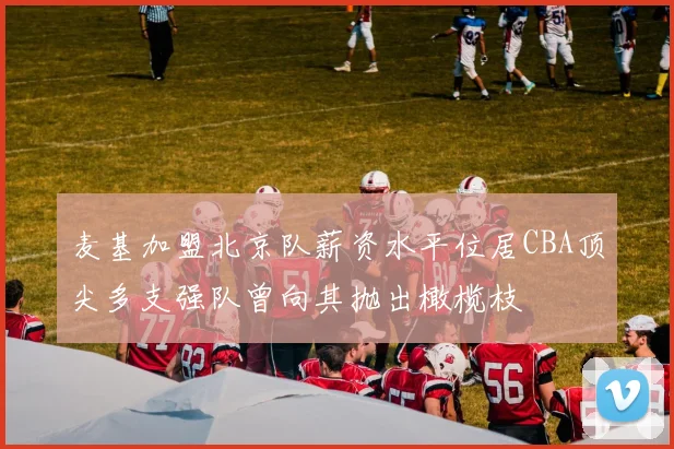 麦基加盟北京队薪资水平位居CBA顶尖多支强队曾向其抛出橄榄枝