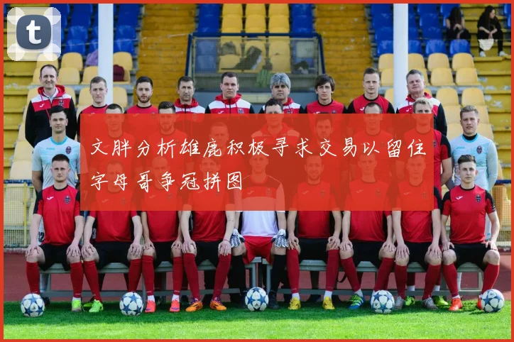 文胖分析雄鹿积极寻求交易以留住字母哥争冠拼图