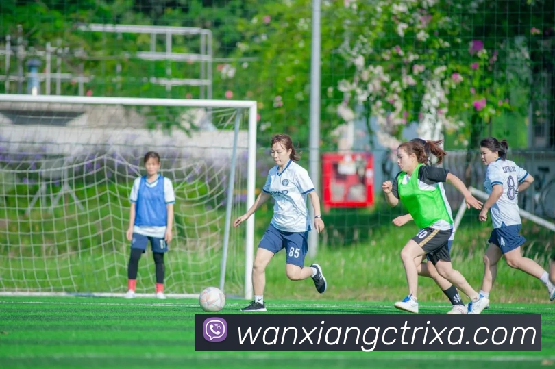 万象城APP 高清赛事图